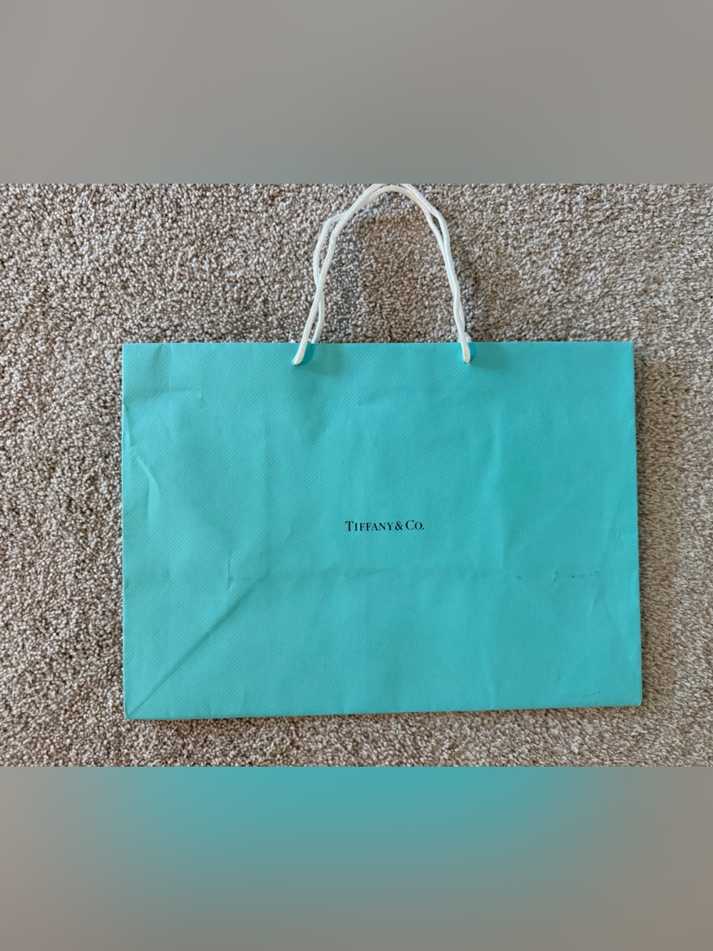 Tiffany & Co. Blue Shopping Gift Bag